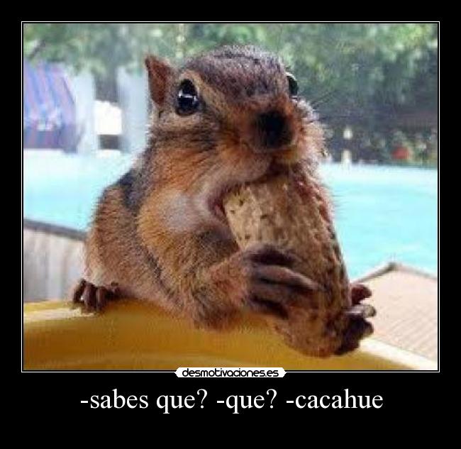 -sabes que? -que? -cacahue -