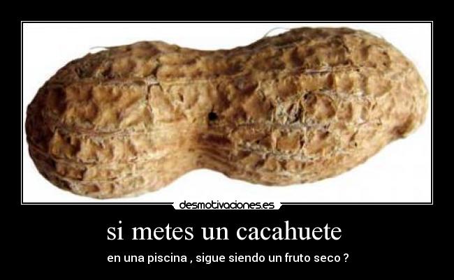 si metes un cacahuete -