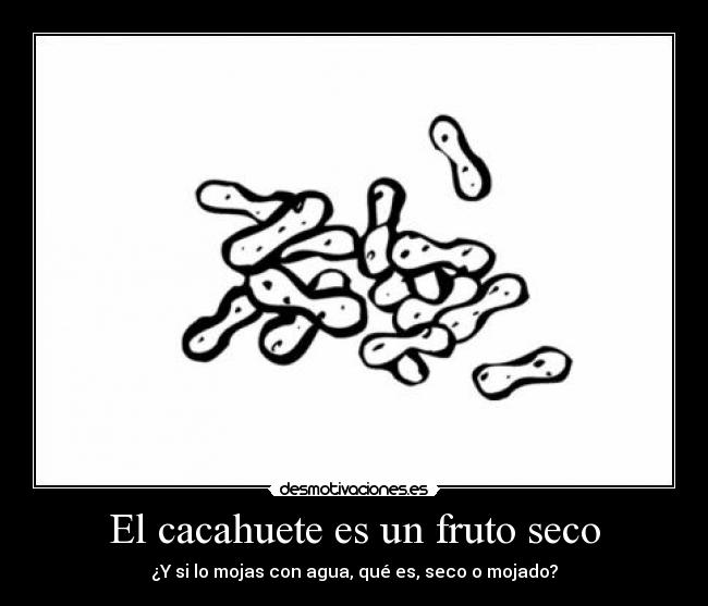 El cacahuete es un fruto seco - ¿Y si lo mojas con agua, qué es, seco o mojado?