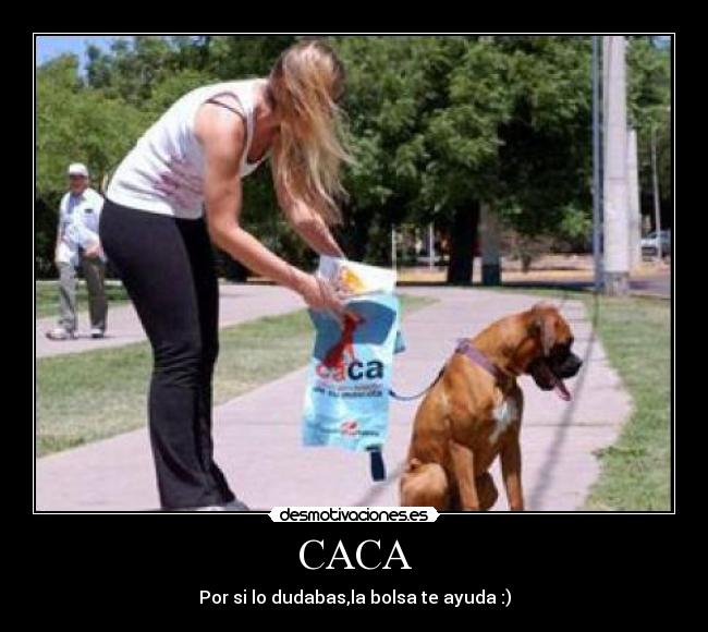 carteles desmotivaciones