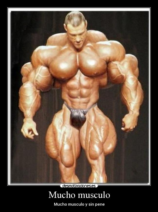 Mucho musculo - 