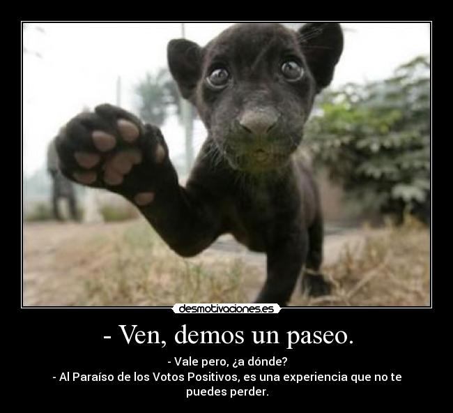 carteles pantera paseo paraiso votos positivos desmotivaciones