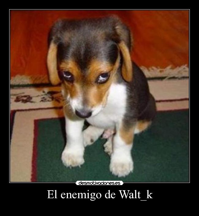 carteles enemigo enemigo walt_k desmotivaciones