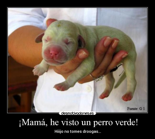 ¡Mamá, he visto un perro verde! - Hiiijo no tomes droogas...