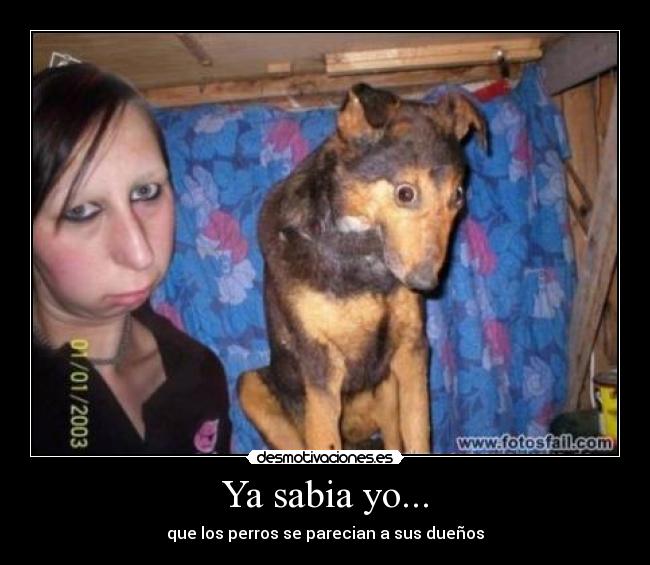 Ya sabia yo... - 