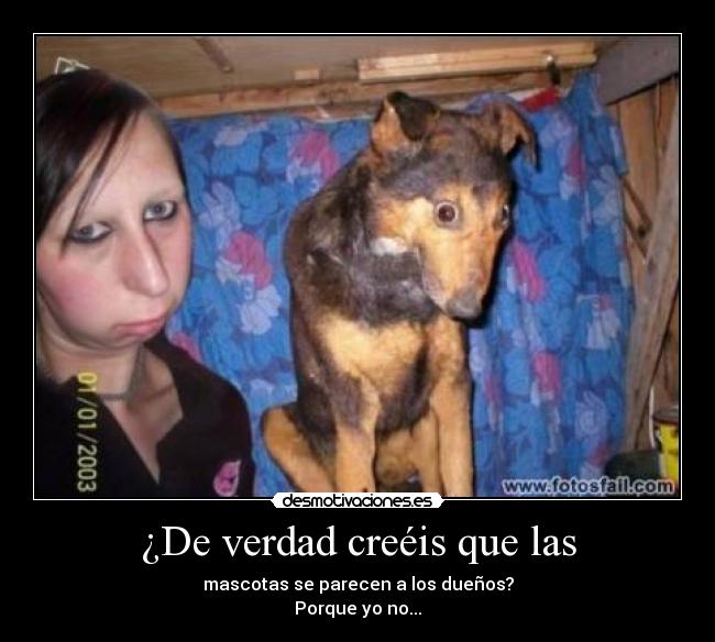 carteles fail desmotivaciones