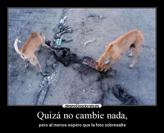 Quizá no cambie nada, -