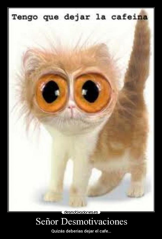 Señor Desmotivaciones -