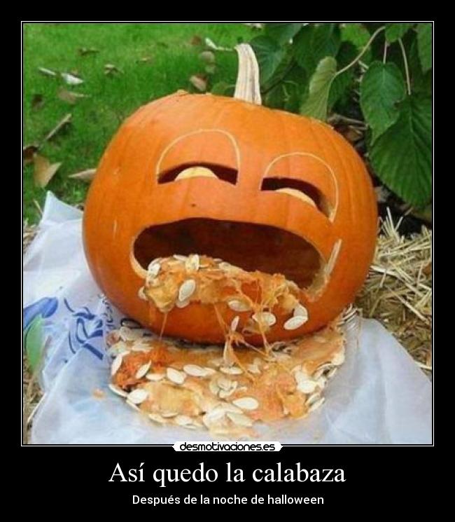 Así quedo la calabaza -