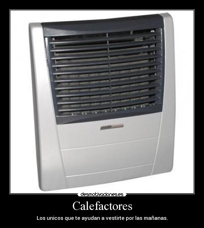 Calefactores -