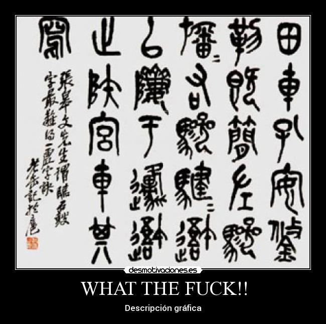 WHAT THE FUCK!! - Descripción gráfica