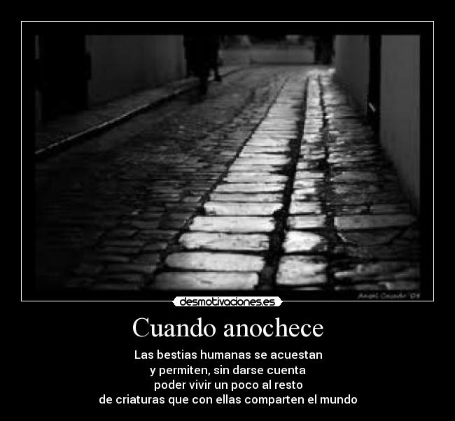 Cuando anochece - 