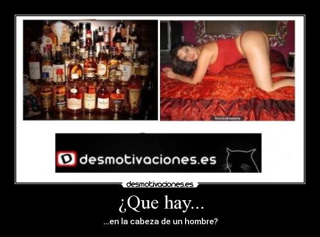 ¿Que hay... - ...en la cabeza de un hombre?