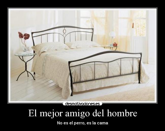 El mejor amigo del hombre - No es el perro, es la cama