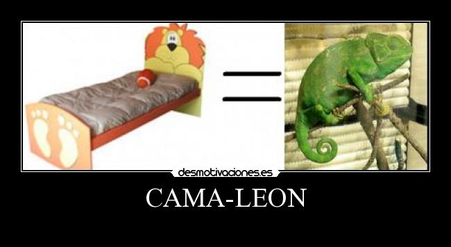 CAMA-LEON -  