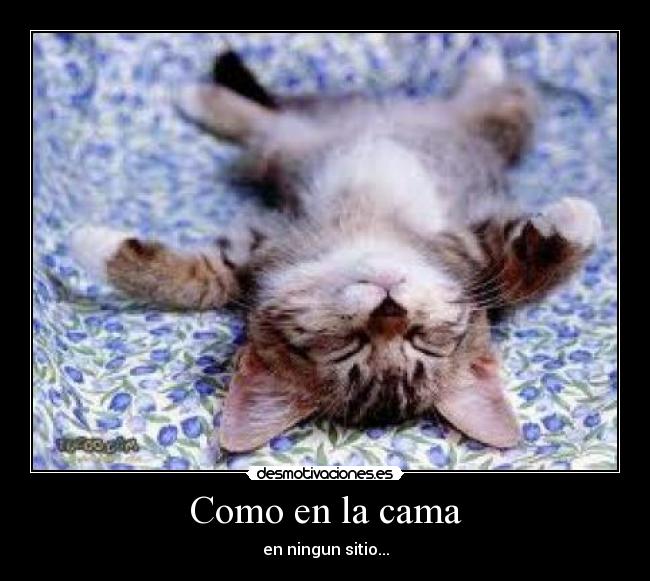 Como en la cama - 