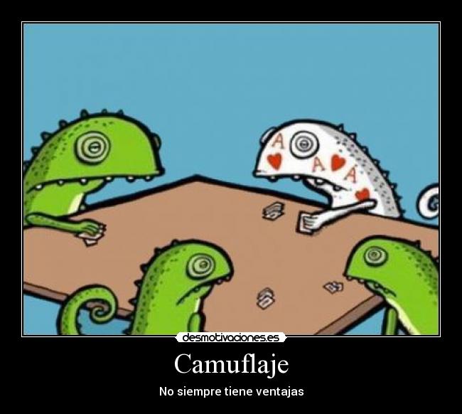 Camuflaje - 