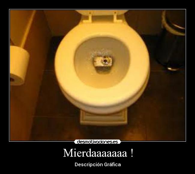 Mierdaaaaaaa ! - Descripción Gráfica