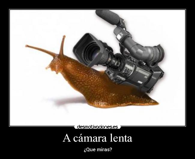 carteles desmotivaciones