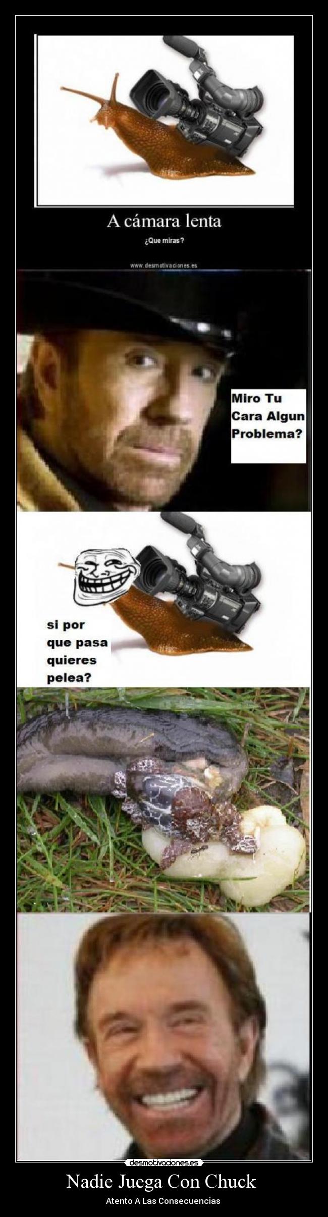 Nadie Juega Con Chuck  - Atento A Las Consecuencias 