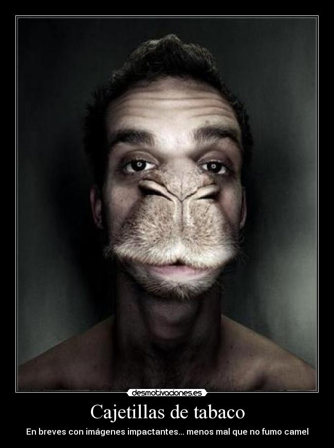 Cajetillas de tabaco -