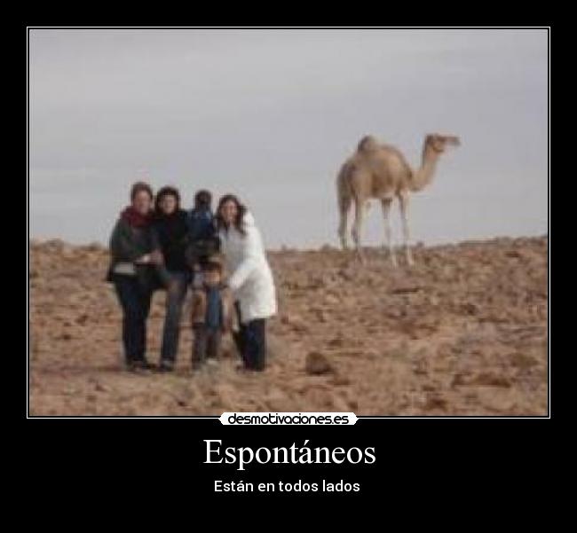 Espontáneos - Están en todos lados
