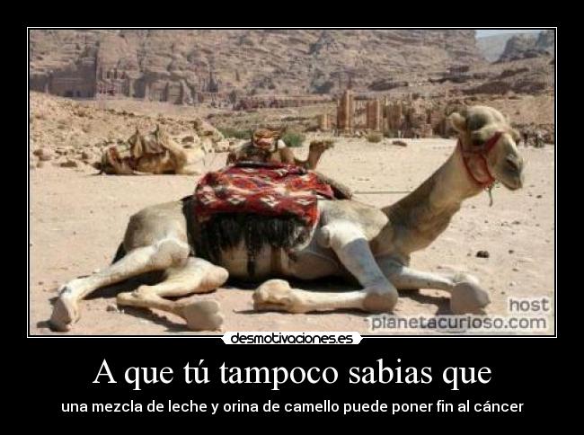 A que tú tampoco sabias que -