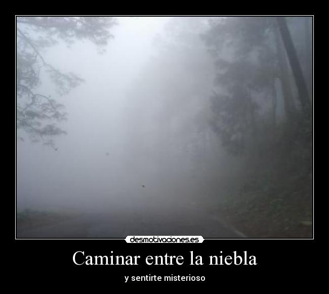 Caminar entre la niebla - 