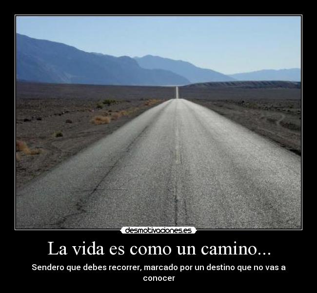 La vida es como un camino... - Sendero que debes recorrer, marcado por un destino que no vas a conocer
