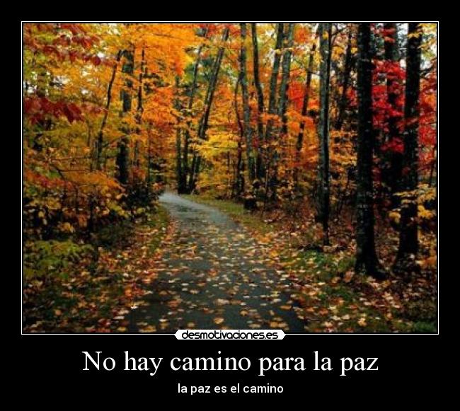 No hay camino para la paz -
