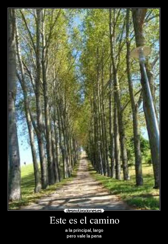 Este es el camino - a la principal, largo
pero vale la pena