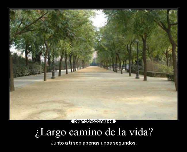 ¿Largo camino de la vida? - Junto a ti son apenas unos segundos.