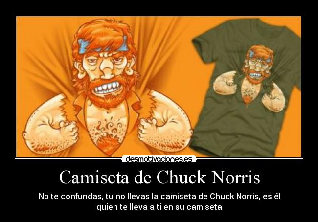 Camiseta de Chuck Norris - No te confundas, tu no llevas la camiseta de Chuck Norris, es él
quien te lleva a ti en su camiseta