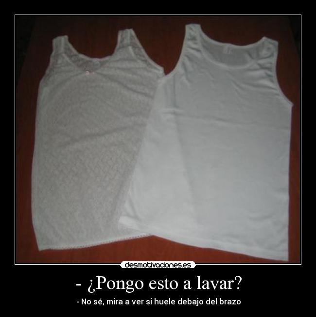 - ¿Pongo esto a lavar? - - No sé, mira a ver si huele debajo del brazo