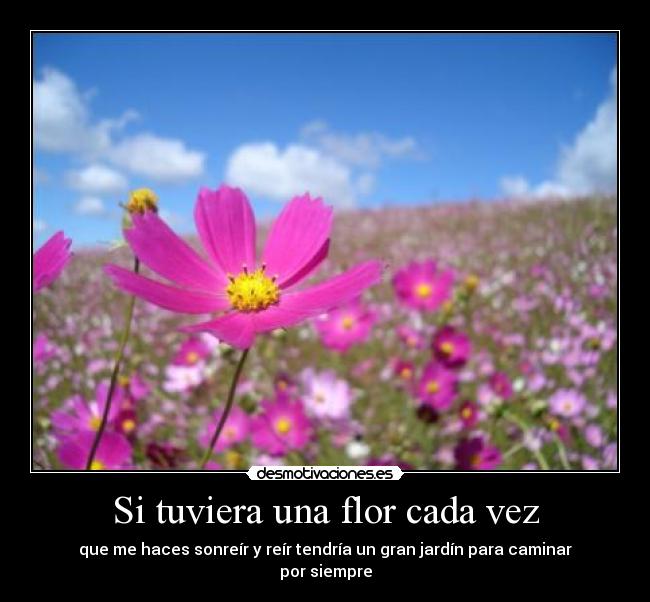 Si tuviera una flor cada vez - 