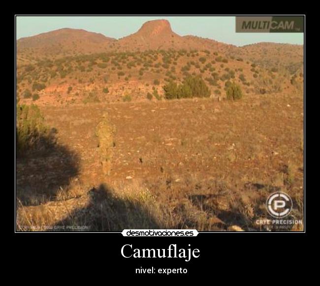 Camuflaje - nivel: experto