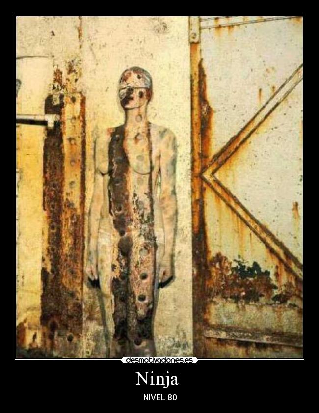 Ninja - NIVEL 80