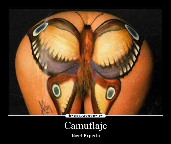 Camuflaje - Nivel: Experto