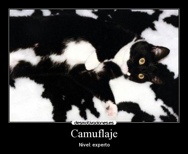 Camuflaje -