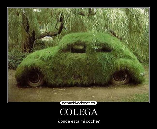 COLEGA - donde esta mi coche?