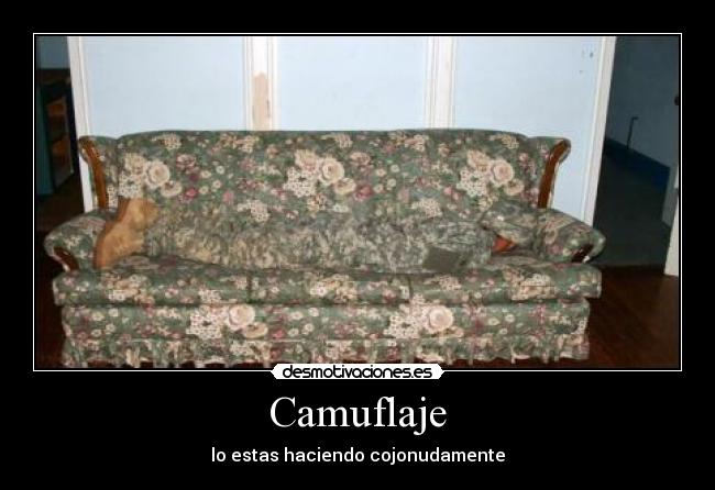 Camuflaje -