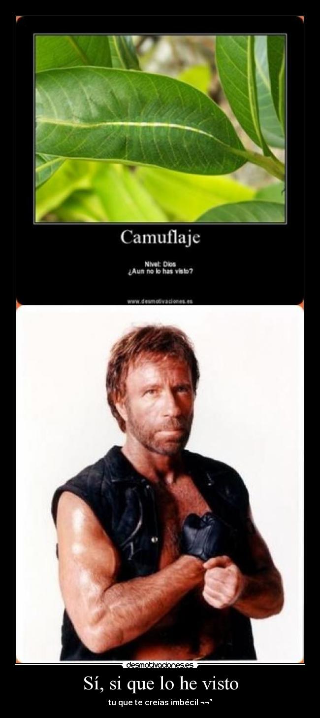 Sí, si que lo he visto - 