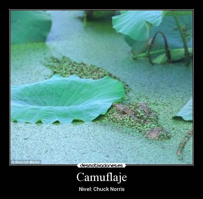 carteles buenooooo desmotivaciones