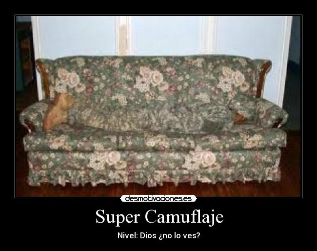 Super Camuflaje -