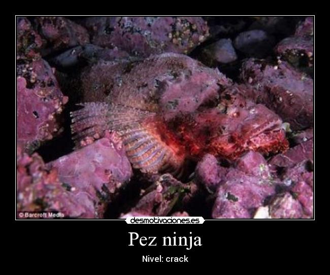 carteles ese desmotivaciones