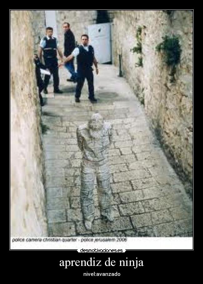 aprendiz de ninja -