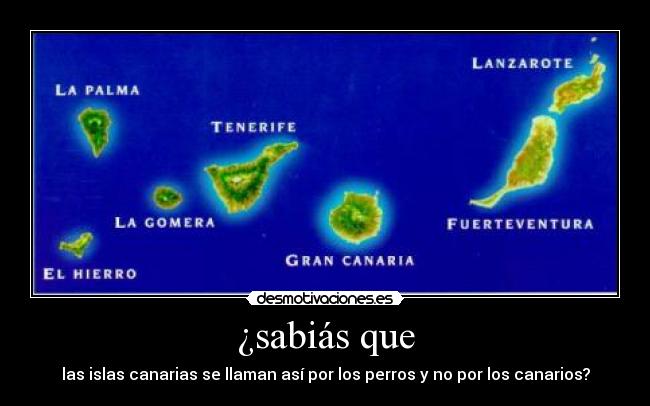 ¿sabiás que - las islas canarias se llaman así por los perros y no por los canarios?