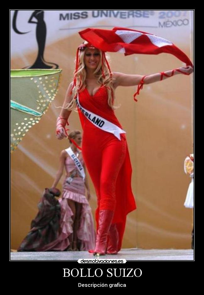 BOLLO SUIZO - Descripción grafica