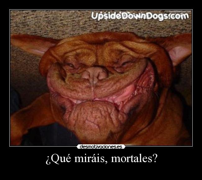 ¿Qué miráis, mortales? - 