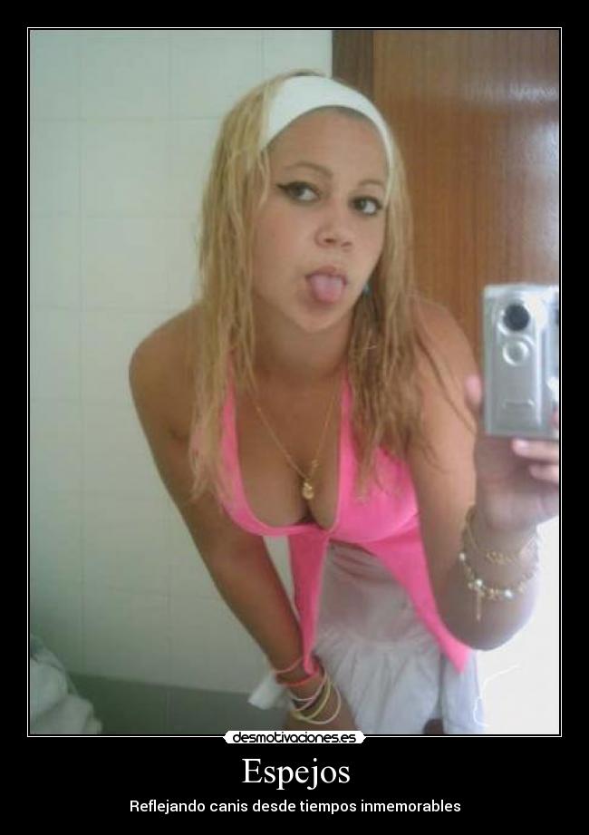 Espejos - Reflejando canis desde tiempos inmemorables